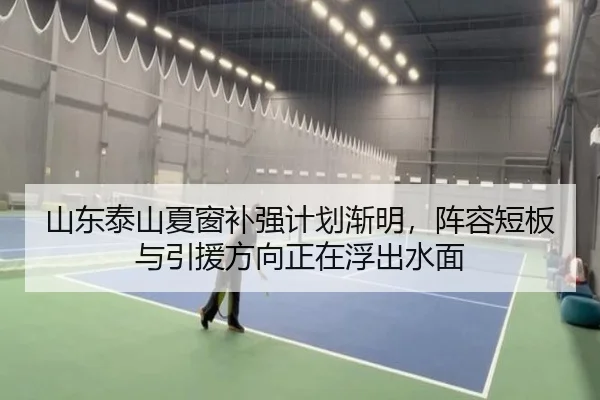 山东泰山夏窗补强计划渐明，阵容短板与引援方向正在浮出水面